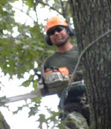 Kevin Collins A Top to Bottom Tree Lawn Service